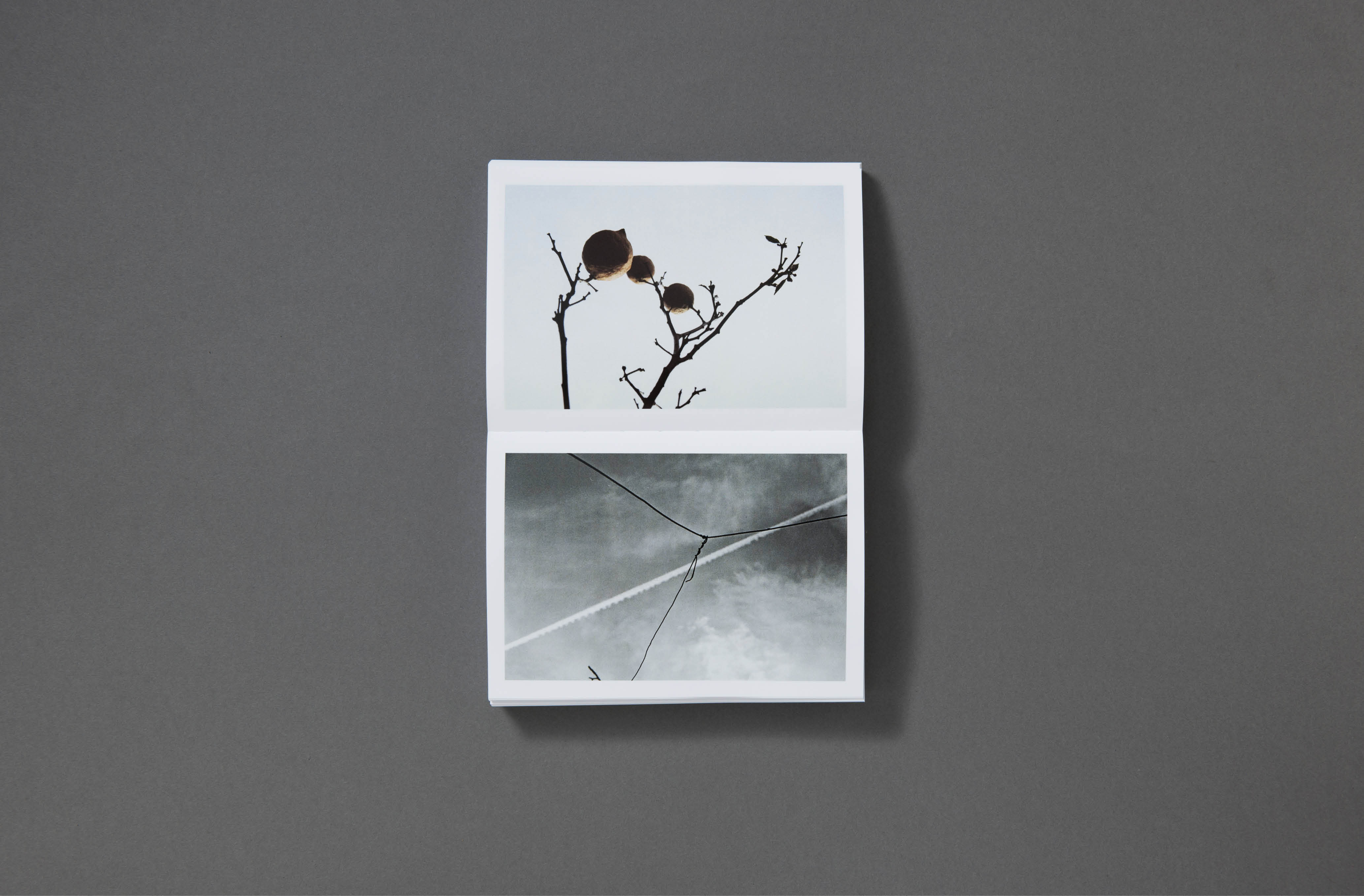 St_Gil_Book_Jonathan_Schmidt Ott_12