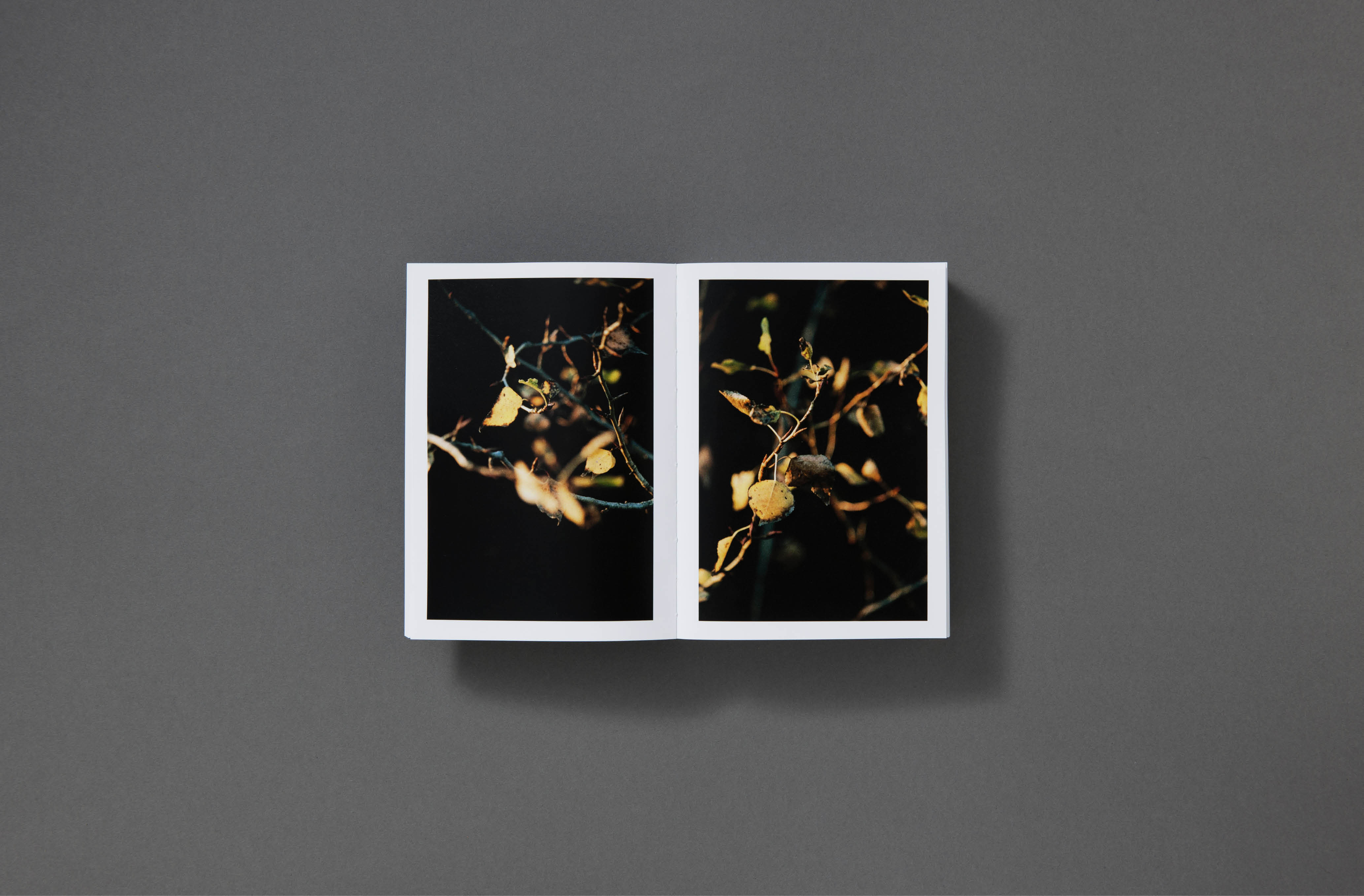 St_Gil_Book_Jonathan_Schmidt Ott_04